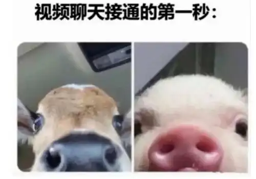 搞笑神评人间大真实事件
