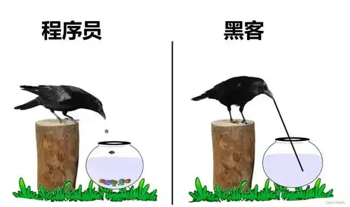 17张程序员搞笑图片
