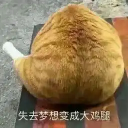 微信情侣头像萌宠两张配对搞怪可爱动物头像情侣一人一张
