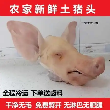 新鲜猪头整只生猪头带骨土猪带耳朵带猪舌头猪头生猪头肉猪脸
