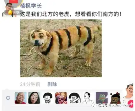 搞笑图片这是我们北方的老虎,想看看你们南方的
