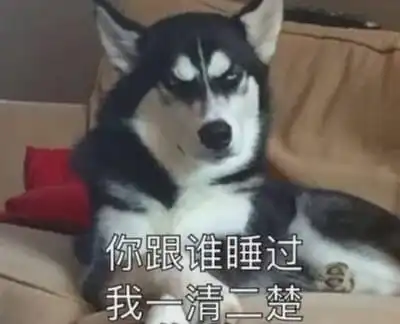 男友不信狗狗只和女生玩,于是他穿了裙子喷了香水去试了一下
