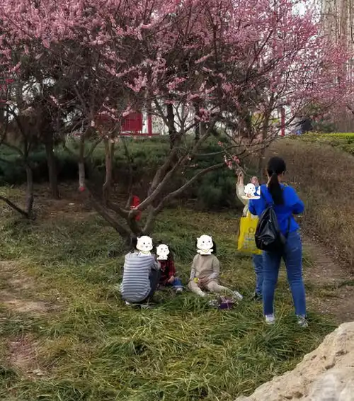 濮阳这个公园里孩子在爬树,而家长.....
