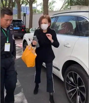 雪姨王琳节目中跪地磕头,吓得黄奕捂头连退,现场嘉宾齐变脸
