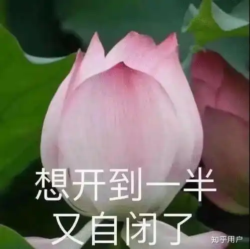 你见过最好玩的名字叫什么
