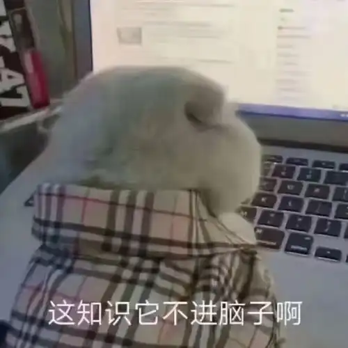 有关不搭理它的表情包脑
