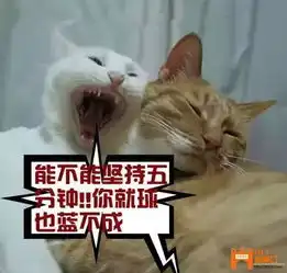 笑哭张北球字的10种含义
