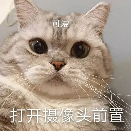 可爱又搞笑的沙雕表情包