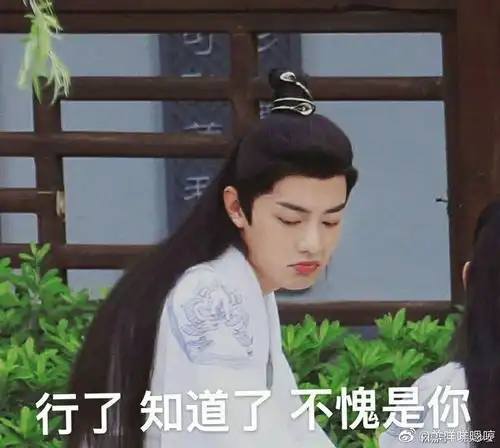 你不得不get的表情包之陈情令
