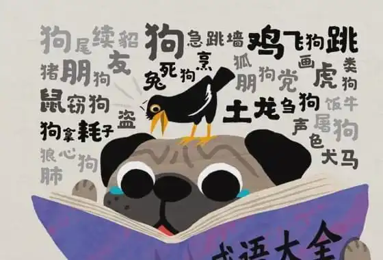 学霸撒贝宁翻车,喝西北风竟然是成语
