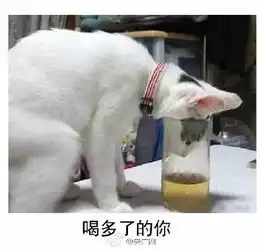 过年期间的你搞笑文字图片吃瘦点才有资格睡
