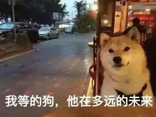 都情人节了,还单身枪姐独门脱单指南送上
