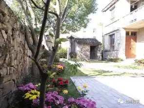 靓丽风景就在你我身边,玉环美丽庭院随手拍展播第二期来袭
