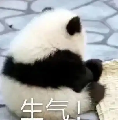 gif动图有哪些沙雕又搞怪的朋友圈文案
