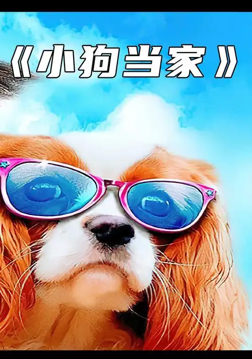 能把笨贼整惨的不一定是小孩,还有可能是两只狗子喜剧搞笑

