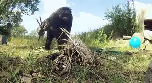 网络热点

