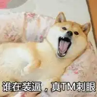 神烦狗搞笑头像图片冷眼旁观的神烦狗带字头像
