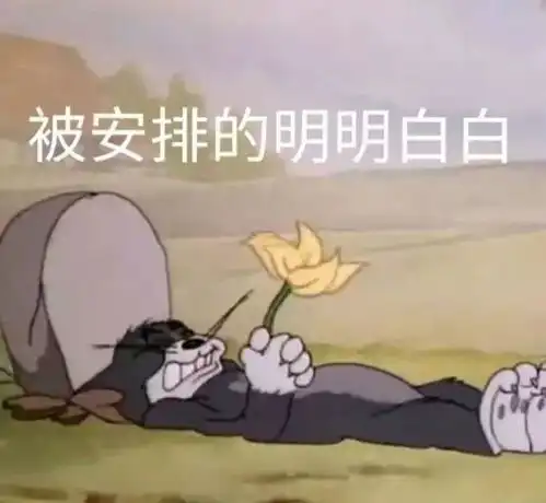 沙雕表情包图片被安排的明明白白
