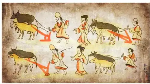 古人春耕有啥黑科技1800年前戈壁简笔画揭秘凤凰网甘肃凤凰网
