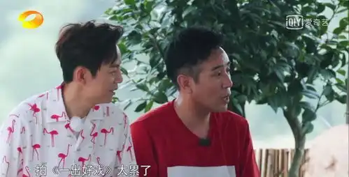 向往的生活黄渤黄磊的这两段对白好搞笑,其他人都插不上话

