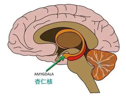 孩子大闹情绪,你抓狂崩溃时别再默念亲生的,这俩法子更管用