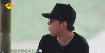 向往的生活黄渤黄磊的这两段对白好搞笑,其他人都插不上话