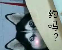 二哈表情包
