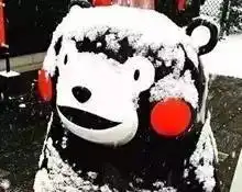 有几件大事将影响你的生活,甚至会影响你的2017年,被最后一个消息虐哭了
