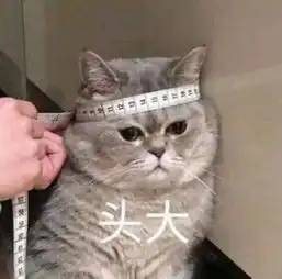 万圣节搞怪装扮用脑洞代替夸张造型沙雕且环保

