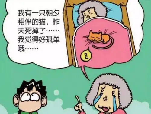 爆笑看孤寡老人太可怜,呆爸慷慨捐助
