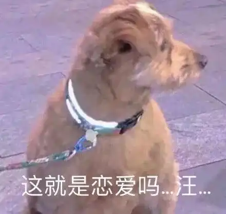 互相奔赴的爱情也太甜了,555羡慕两个字我说累了
