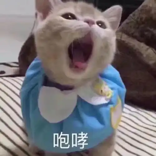 第一次见家长的那些尴尬经历,你遇到过哪些