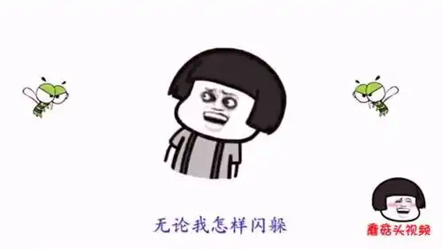 抖音神曲我的将军啊改编成搞笑打蚊子版,不说了我去打蚊子了
