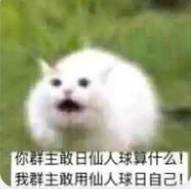 姐妹你也不赖嘛夸人表情包斗图表情
