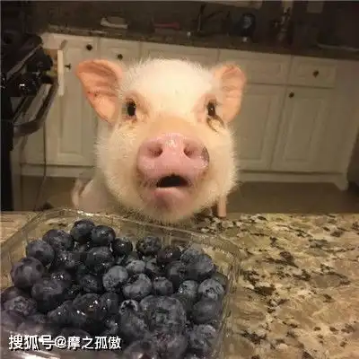 这4生肖未来1个月财星临门,喜事连绵,添丁添财
