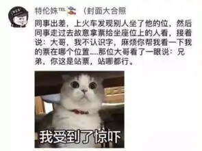 朋友圈搞笑截图大集合,你来感受感受
