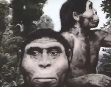 最近很火的18000年前猿人的搞笑文案带图片让人意想不到的沙雕句子