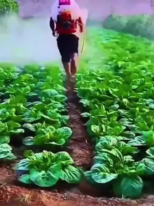 防风罩喷头打药好帮手喷洒均匀刮风天也能打药了
