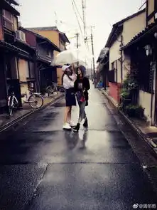 周冬雨表情包大全动态杨