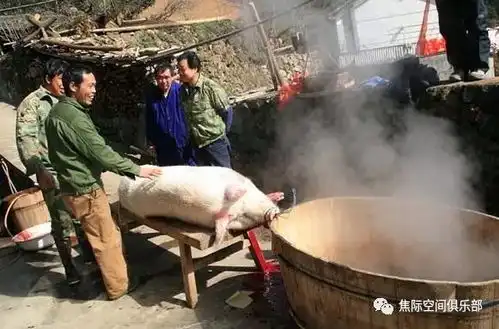 二十六割年肉,赶紧把福气带回家吧
