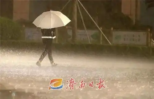 又来局部暴雨10级雷雨大风刚刚,济南发布重要预报
