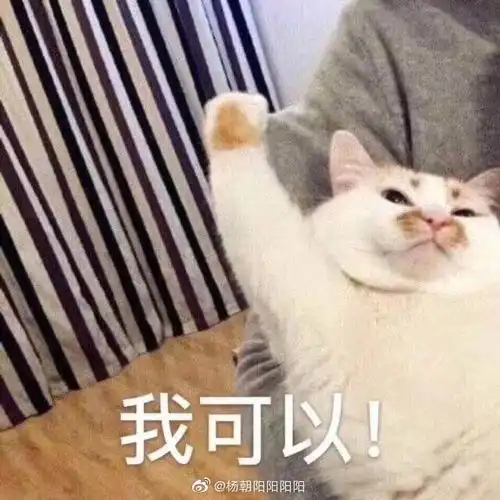 好的鸭表情包狗命