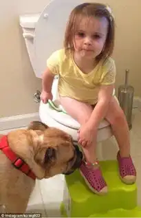 暖心美国两岁女孩与斗牛犬形影不离成好友全文