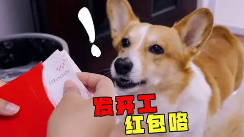 狗狗成精了,领完开工红包后,狗子竟然立马帮妈妈关门面试小奶狗
