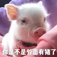 你是不是在外面有猪了小猪图片粉红小猪仔表情包下载乐游网游戏下载
