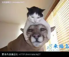 动物图片笑话大全第37页
