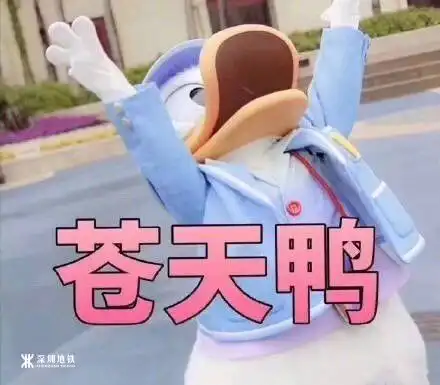 好的鸭表情包疫情