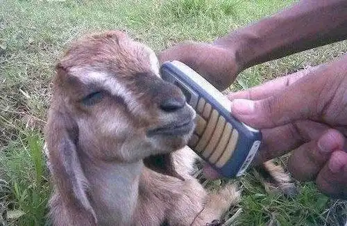 搞笑积了多大仇恨才出此下策的
