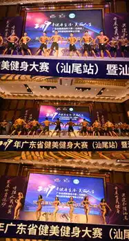广东省汕尾市首届健美健身公开赛圆满落幕
