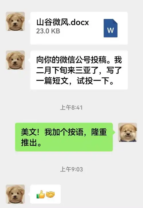 莫言和余华的微信头像火了网友哈哈哈哈